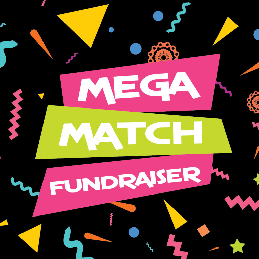Mega Match Fundraiser graphic