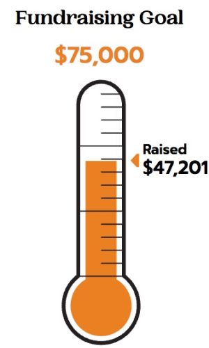 $47,201 raised so far